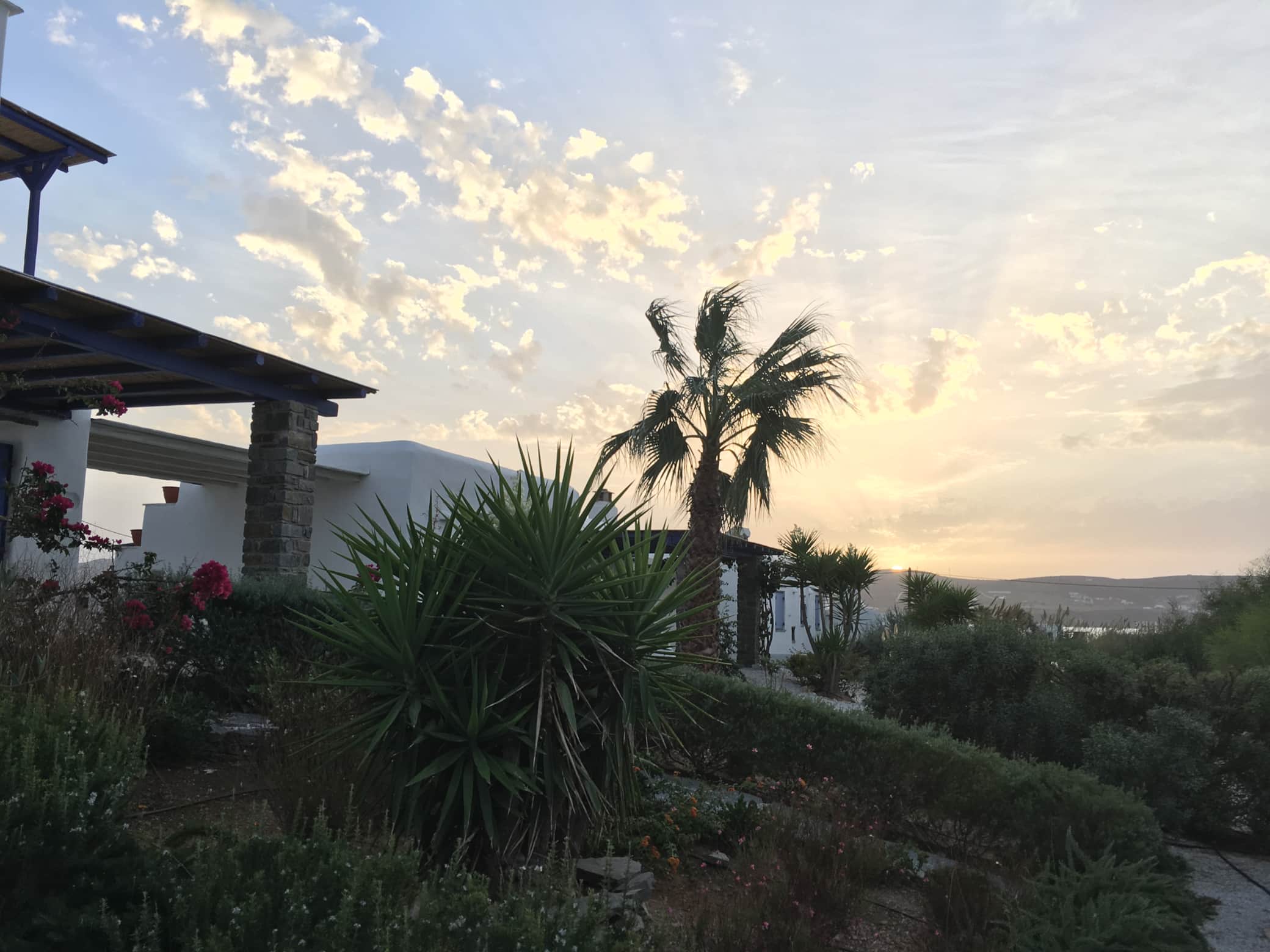 Beach Lodge Paros at sunset, palm tree silhouettes